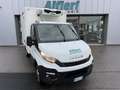 Iveco Daily 35C14 Frigo FRCX -20°C ATP 03 2028 380V kg 720 Bianco - thumbnail 1