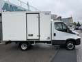 Iveco Daily 35C14 Frigo FRCX -20°C ATP 03 2028 380V kg 720 Bianco - thumbnail 4