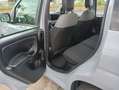Fiat Panda 1.0 FireFly S&S Hybrid Grigio - thumbnail 12