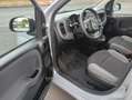 Fiat Panda 1.0 FireFly S&S Hybrid Grigio - thumbnail 7