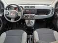 Fiat Panda 1.0 FireFly S&S Hybrid Grigio - thumbnail 11
