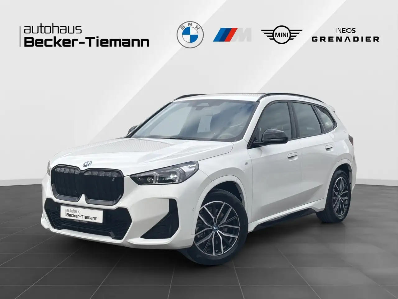 BMW iX