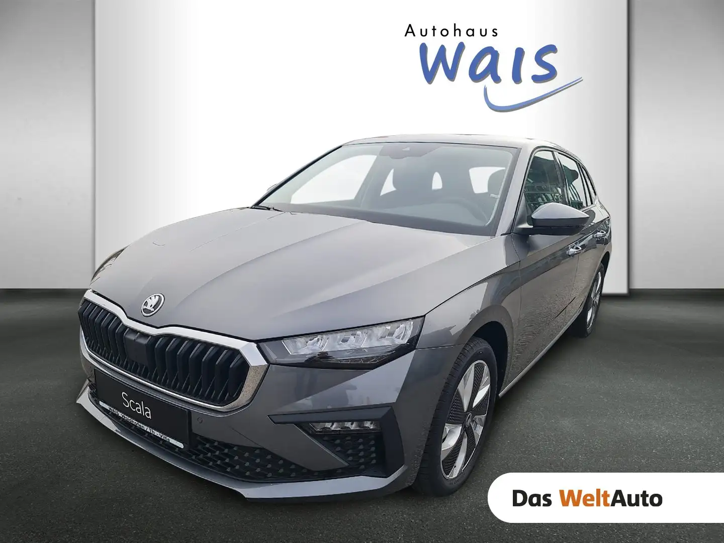 Skoda Scala Selection TSI Grau - 1