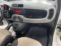 Fiat Panda Panda 1.3 MJT S&S Easy Bianco - thumbnail 9