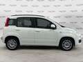 Fiat Panda Panda 1.3 MJT S&S Easy Bianco - thumbnail 4