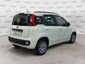 Fiat Panda Panda 1.3 MJT S&S Easy Bianco - thumbnail 5