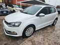 Volkswagen Polo 1.4 TDI 5p. Business BlueMotion Technology Bianco - thumbnail 6