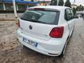 Volkswagen Polo 1.4 TDI 5p. Business BlueMotion Technology Bianco - thumbnail 3