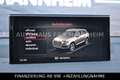 Audi Q7 3.0 TDI quattro Navi Xenon Pano 19%MWST AHK 2 Bleu - thumbnail 22
