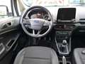 Ford EcoSport 1.5 EcoBlue 125ch Titanium 4x4 Euro6.2 Blanc - thumbnail 4