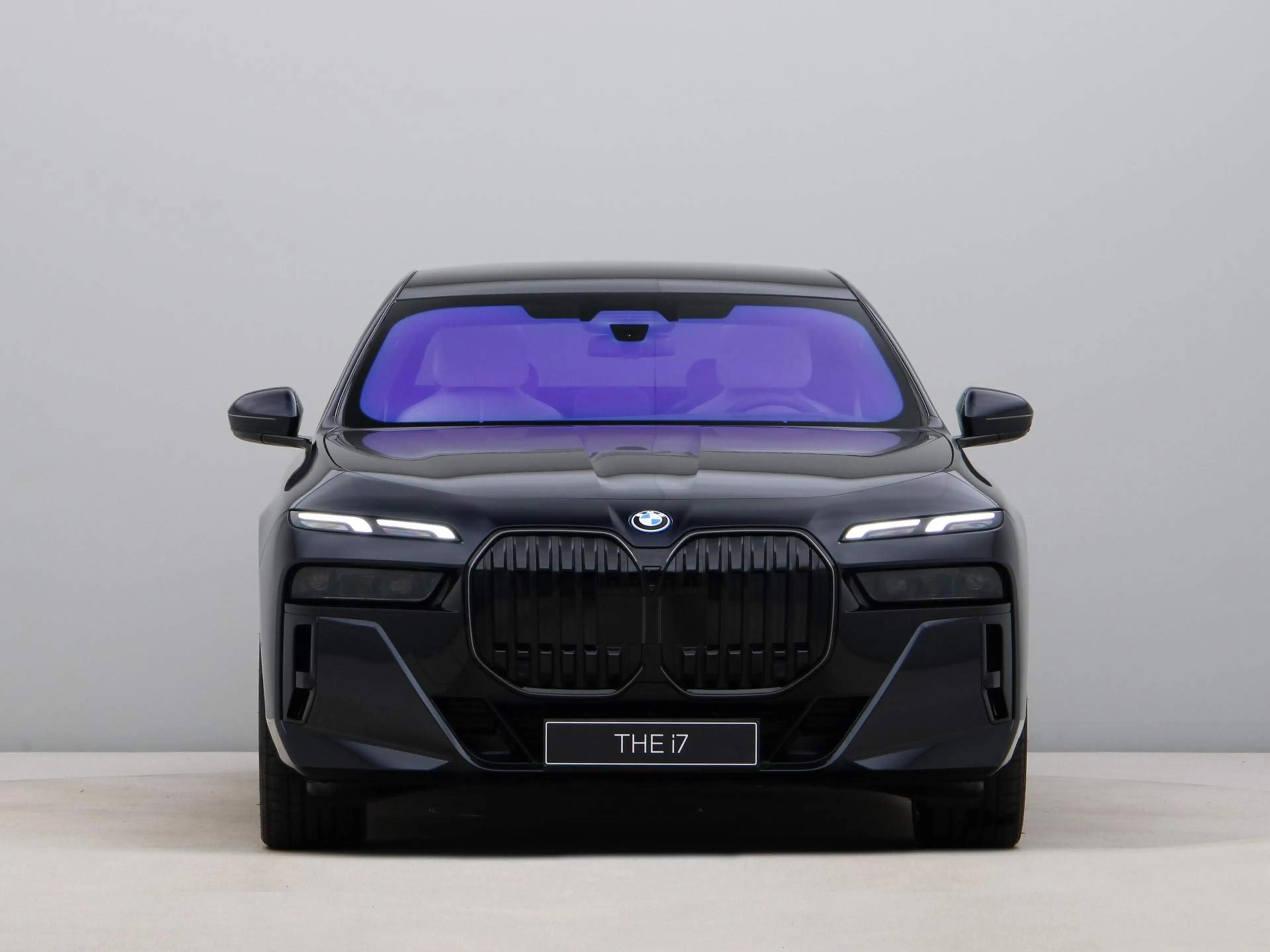 BMW i7 xDrive60 Privilege Edition 106 kWh M Sportpakket P — photo 6