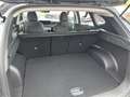 Hyundai TUCSON Tucson NX4 Smart Line 1,6 T-GDi 2WD t5bs1-P3 Verde - thumbnail 13