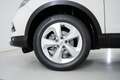 Nissan Qashqai 1.5 dCi Acenta 110cv Bianco - thumbnail 15
