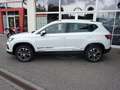 SEAT Ateca ATECA STYLE EDITION 1.5 TSI DSG AHZV SITZH. EPH Blanco - thumbnail 13