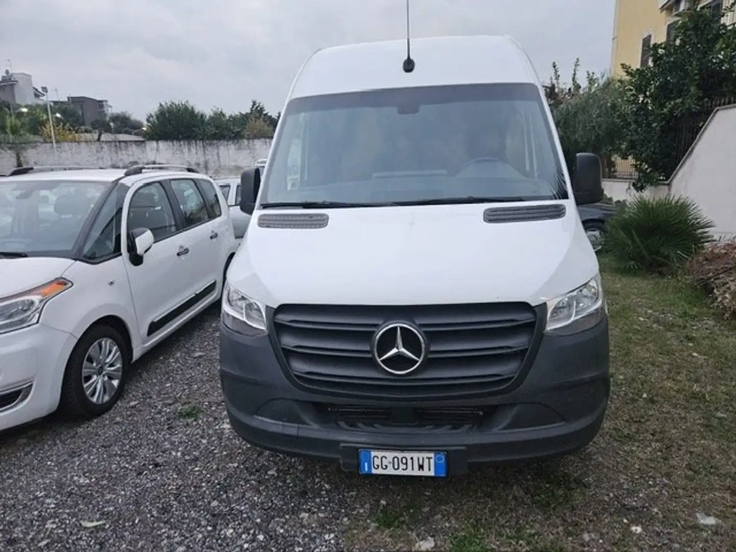 Mercedes-Benz Sprinter Bianco - 1