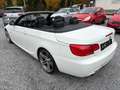 BMW 320 320d Cabrio Aut.*NUR 40.000KM*NEUWERTIG Weiß - thumbnail 3