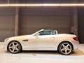 Mercedes-Benz SLC 200 250 d Gris - thumbnail 32