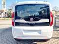 Volkswagen Caddy FIAT DOBLO' 3*SERIE 7POSTI 1,6 MTJ 95CV  EASY Bianco - thumbnail 7