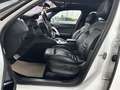 Citroen DS5 SportChic "AHK"HU/AU+Service Neu" Weiß - thumbnail 15