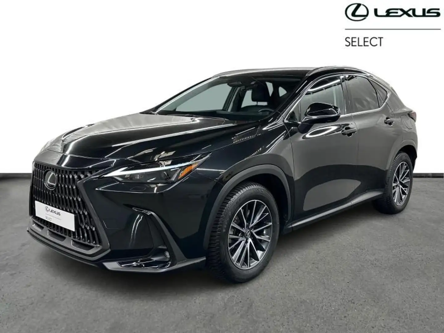 Lexus NX 450h+ Executive Line PHEV Zwart - 1
