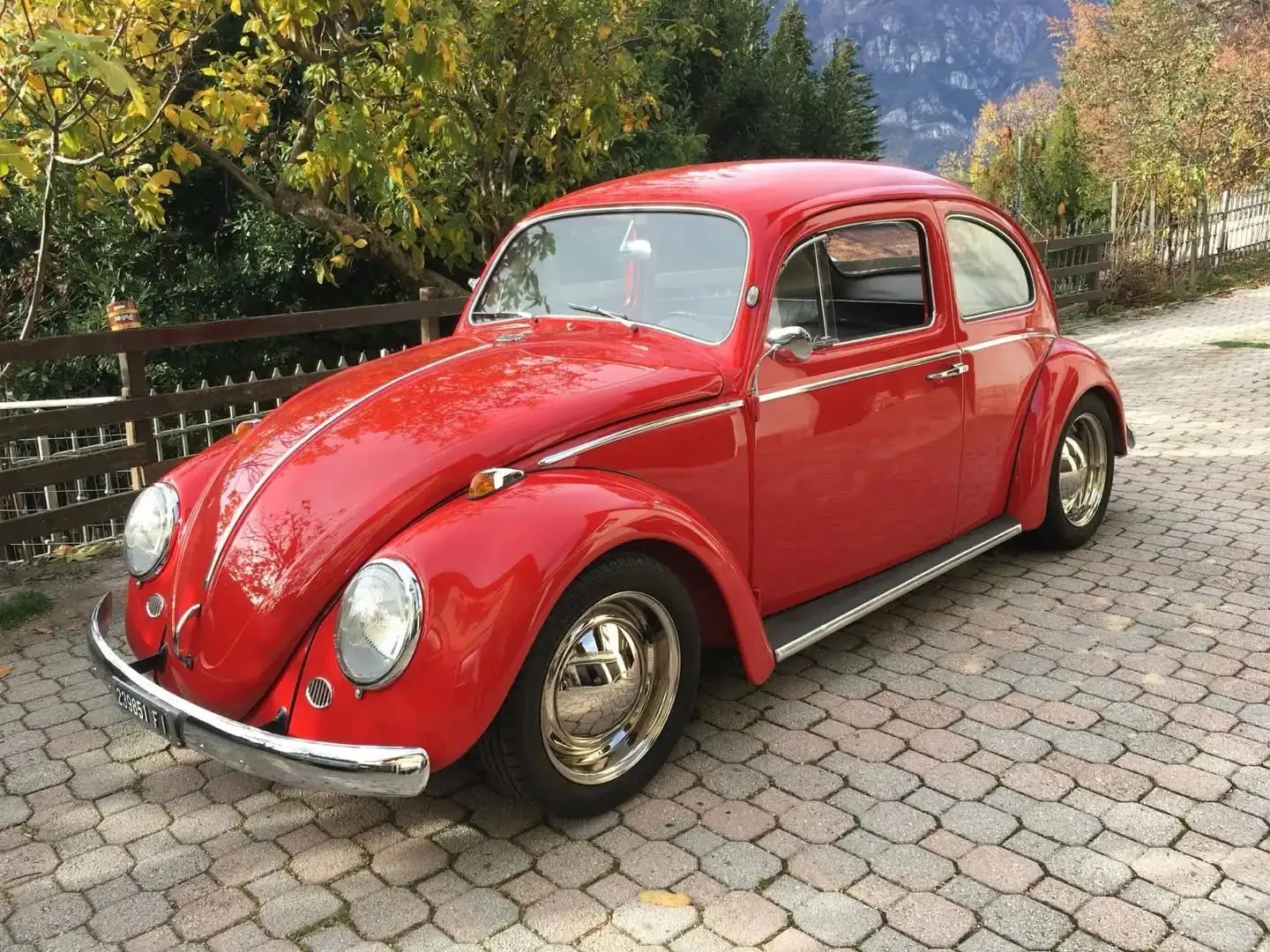 Volkswagen Maggiolino Червоний - 1