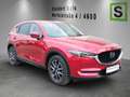 Mazda CX-5 CX-5 Revolution 2,2 Skyactiv-D 175 AWD Rot - thumbnail 4