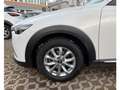 Mazda CX-3 2.0l Sports-Line AWD Automatik Weiß - thumbnail 10