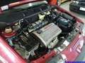 Alfa Romeo 146 1.4 T.S. Junior Červená - thumbnail 14