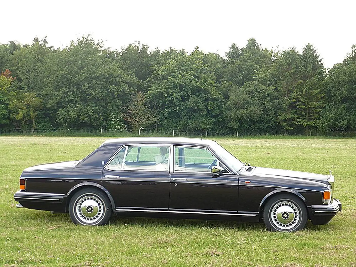 Rolls-Royce Silver Spur Violett - 2