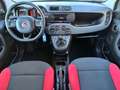 Fiat Panda III 1.2 69CV Easy s&s NEOPATENTATI-AZIENDALE Bianco - thumbnail 7