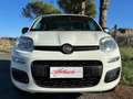 Fiat Panda III 1.2 69CV Easy s&s NEOPATENTATI-AZIENDALE Bianco - thumbnail 5