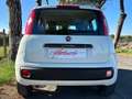 Fiat Panda III 1.2 69CV Easy s&s NEOPATENTATI-AZIENDALE Bianco - thumbnail 6
