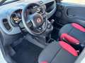 Fiat Panda III 1.2 69CV Easy s&s NEOPATENTATI-AZIENDALE Bianco - thumbnail 8