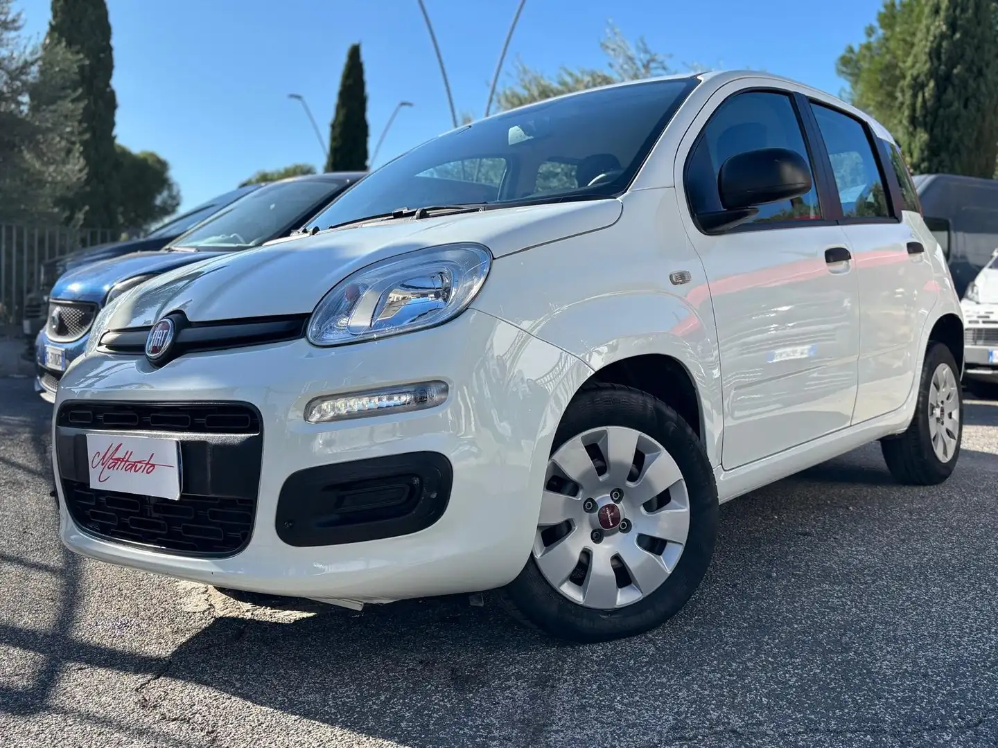 Fiat Panda III 1.2 69CV Easy s&s NEOPATENTATI-AZIENDALE Bianco - 1