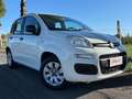 Fiat Panda III 1.2 69CV Easy s&s NEOPATENTATI-AZIENDALE Bianco - thumbnail 2