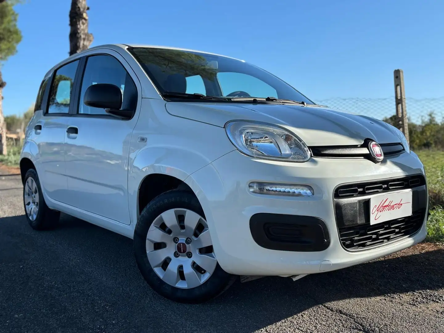 Fiat Panda III 1.2 69CV Easy s&s NEOPATENTATI-AZIENDALE Bianco - 2