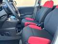 Fiat Panda III 1.2 69CV Easy s&s NEOPATENTATI-AZIENDALE Bianco - thumbnail 11
