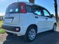 Fiat Panda III 1.2 69CV Easy s&s NEOPATENTATI-AZIENDALE Bianco - thumbnail 3