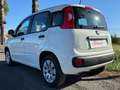 Fiat Panda III 1.2 69CV Easy s&s NEOPATENTATI-AZIENDALE Bianco - thumbnail 4