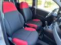 Fiat Panda III 1.2 69CV Easy s&s NEOPATENTATI-AZIENDALE Bianco - thumbnail 12