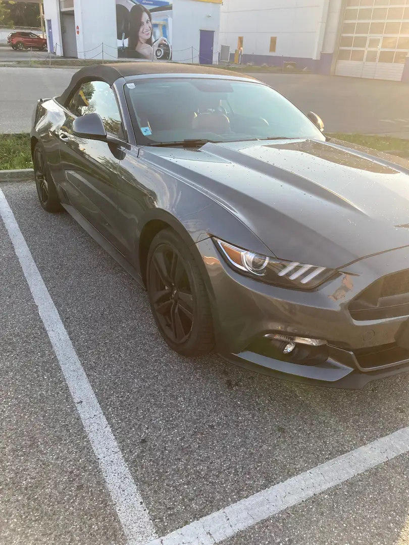 Ford Mustang 2,3 EcoBoost Cabrio Grau - 2