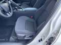 Toyota C-HR C-HR 2.0 PHEV Trend Bianco - thumbnail 11