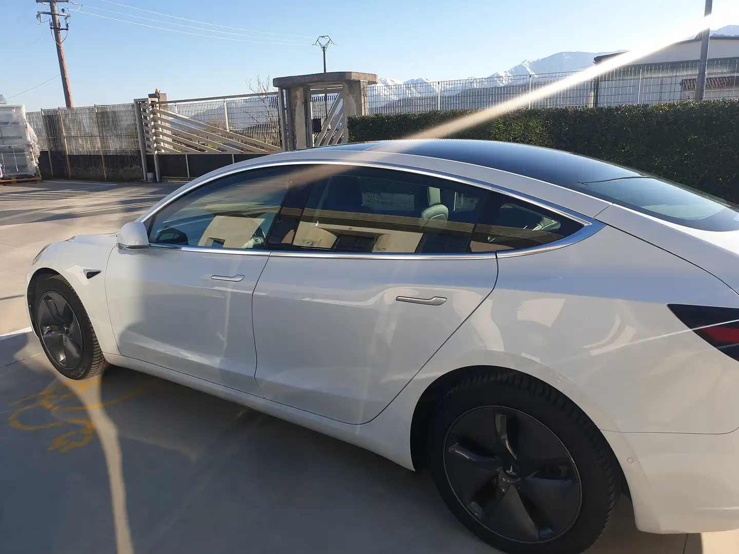 Tesla Model 3 Model 3 Standard rwd Plus Bianco - 1