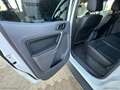 Ford Ranger 3.2 TDCi DC Limited 5pt. Blanc - thumbnail 20