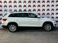 Skoda Kodiaq Ambition/KAMERA/NAVI Blanc - thumbnail 5