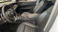 Alfa Romeo Stelvio 2.2 Executive RWD 180 Aut. Alb - thumbnail 11