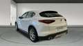 Alfa Romeo Stelvio 2.2 Executive RWD 180 Aut. Alb - thumbnail 2