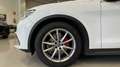Alfa Romeo Stelvio 2.2 Executive RWD 180 Aut. Alb - thumbnail 10