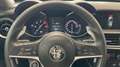 Alfa Romeo Stelvio 2.2 Executive RWD 180 Aut. Alb - thumbnail 14