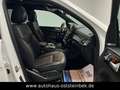 Mercedes-Benz GLS 350 D 4M/AMG-LINE/PANO/ACC/360°/H&K/7-SITZER Weiß - thumbnail 12